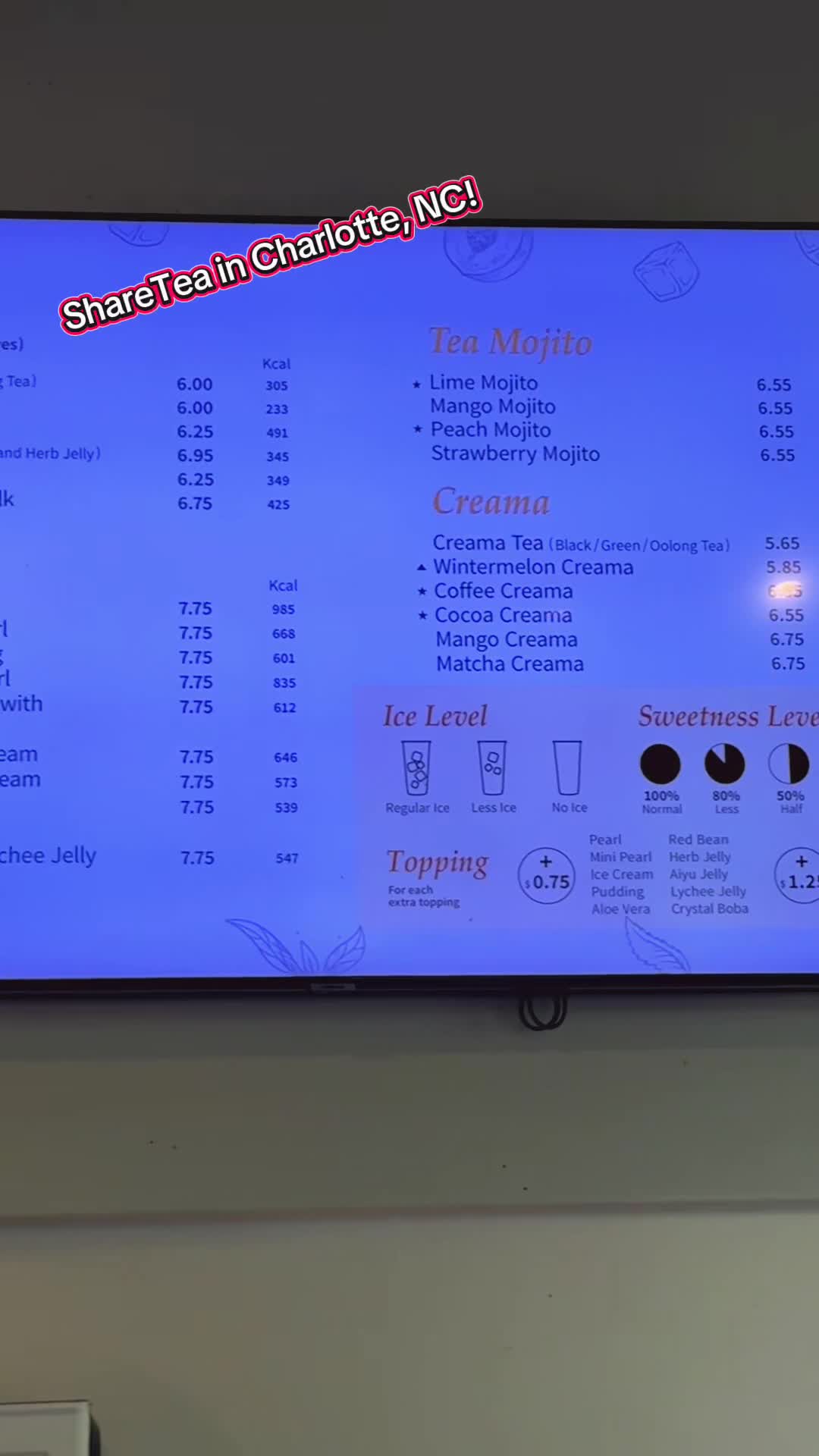 Video review of ShareTea
