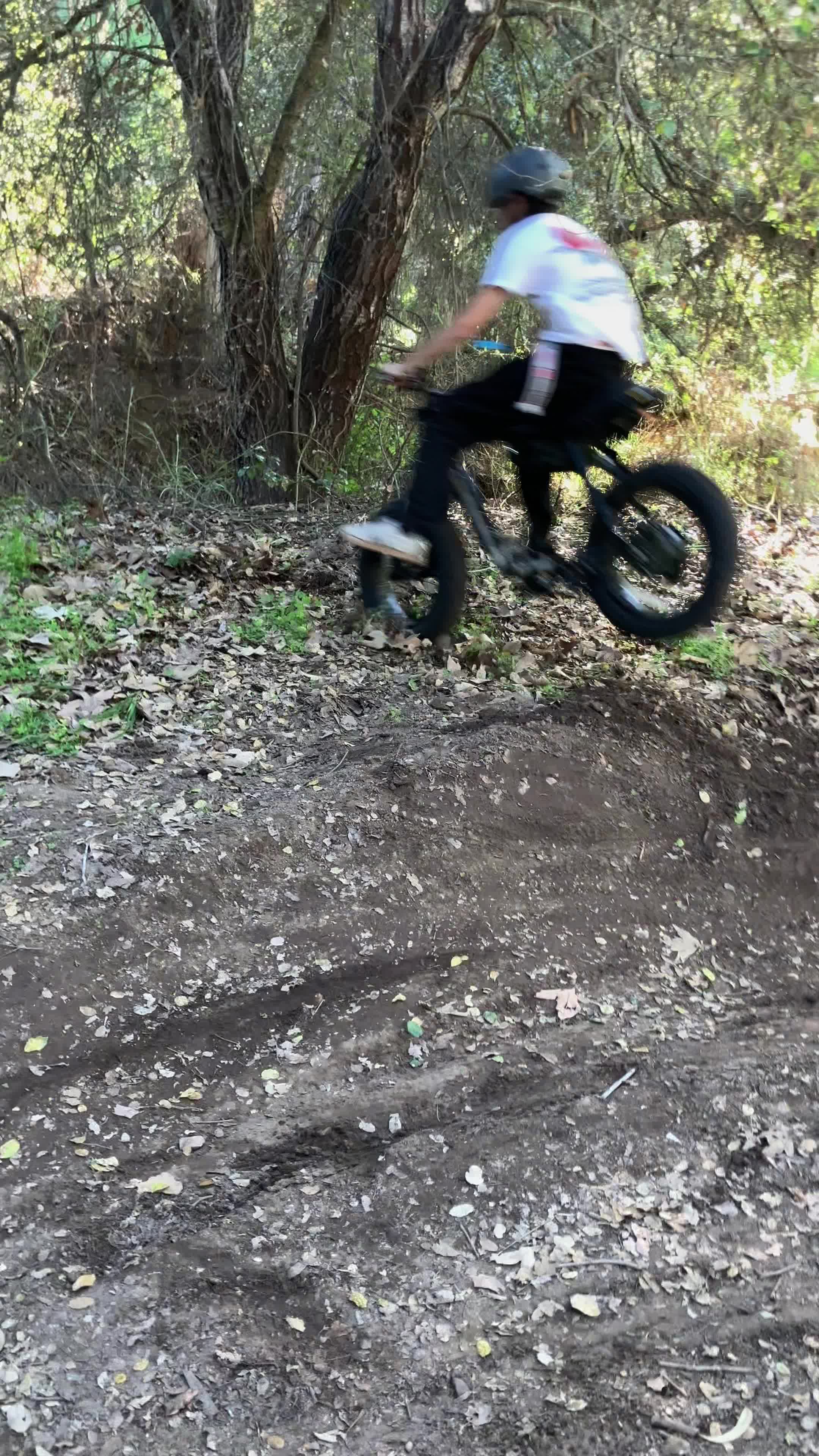 Elings Park