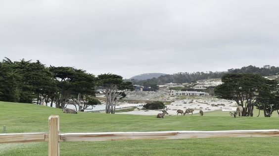 Cypress Point Club