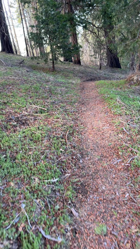 Hiking