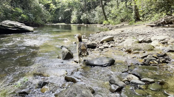 Chattahoochee River Helen