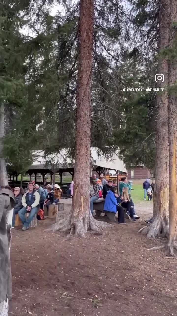 Roosevelt Lodge & Cabins - Inside the Park
