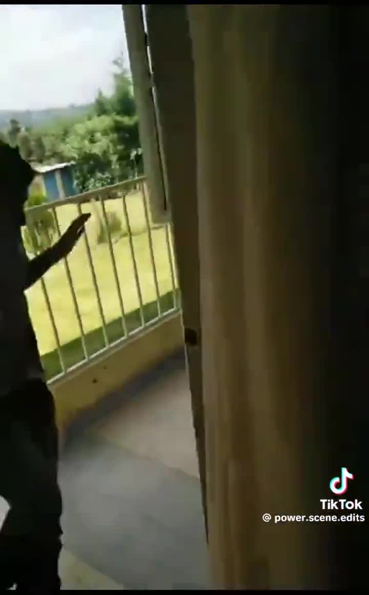 Com Binh Dan - Khach Le Hoi