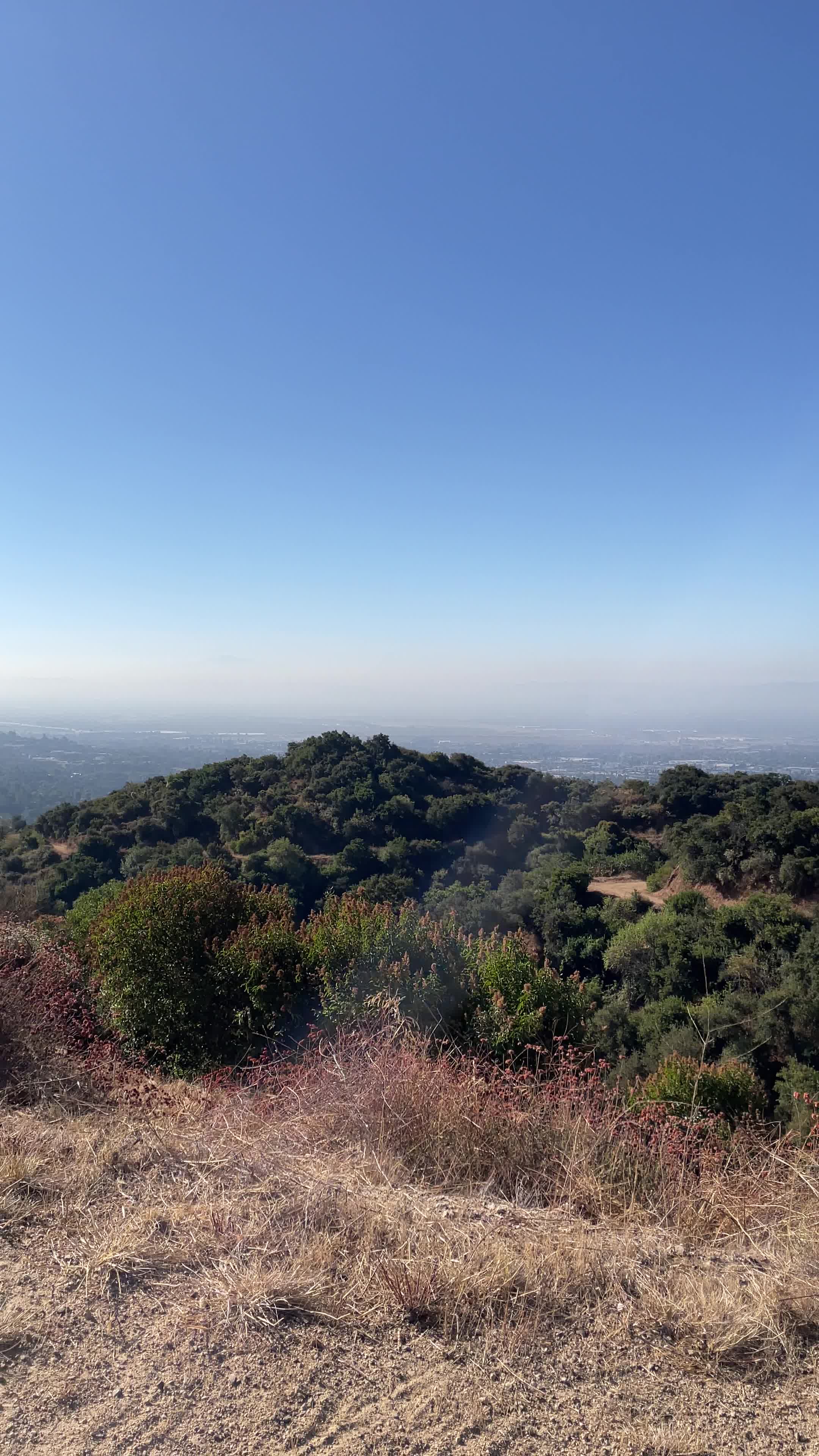 Hillside Wilderness Preserve
