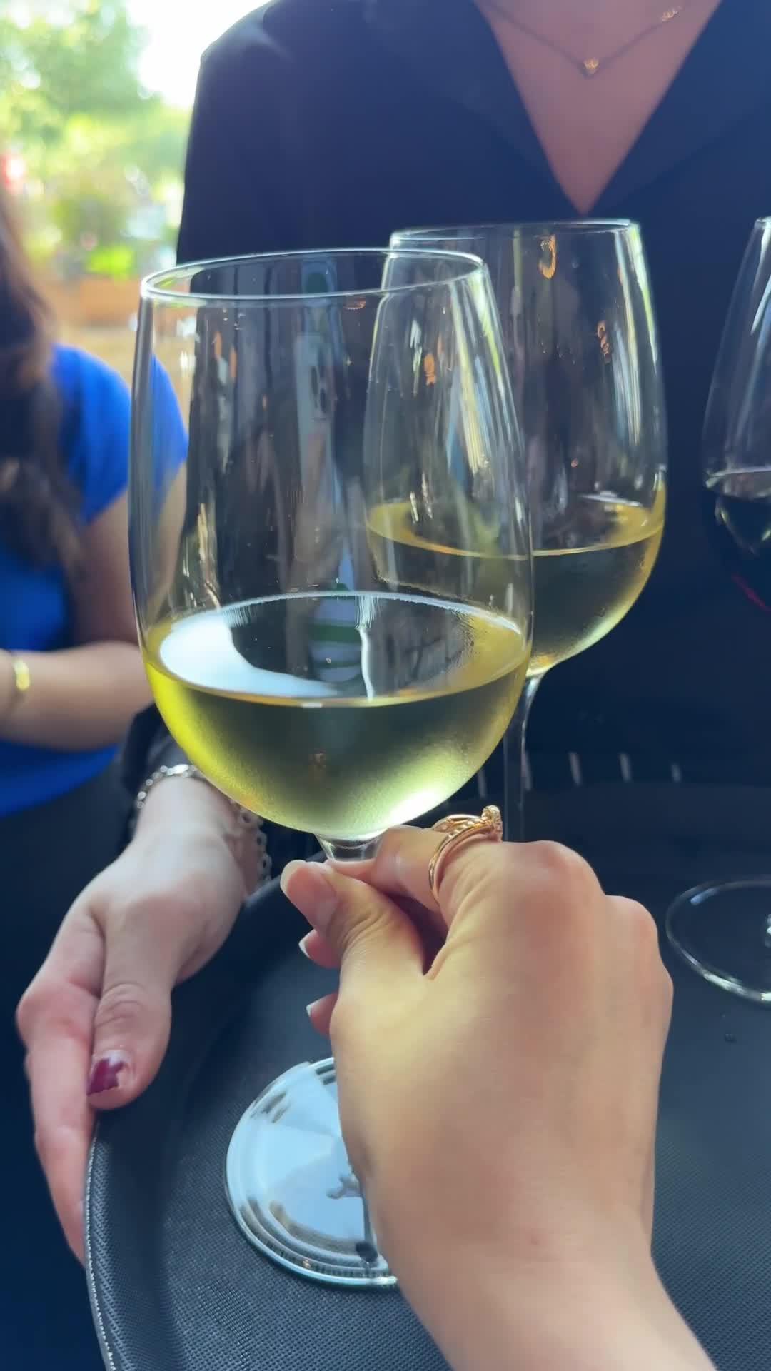 Delucca Gaucho Pizza and Wine