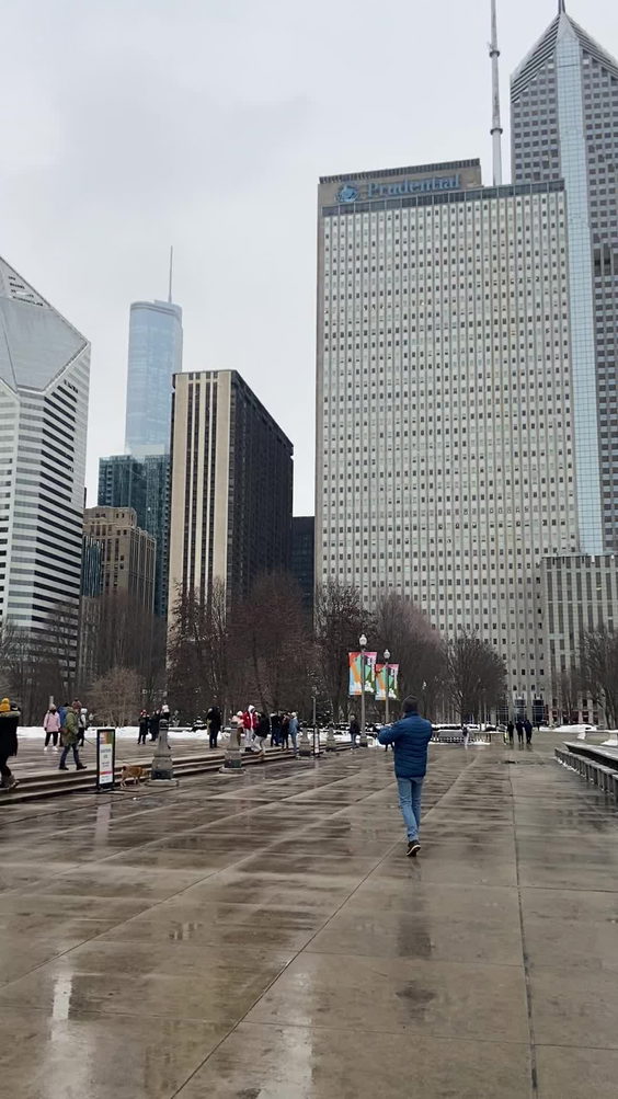 Downtown Chicago, Illionois