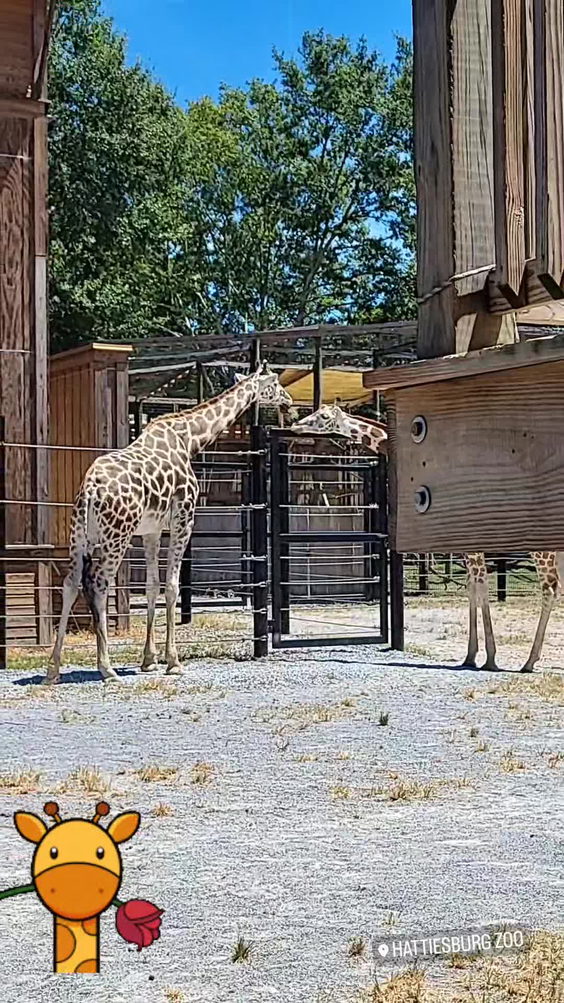 Hattiesburg zoo