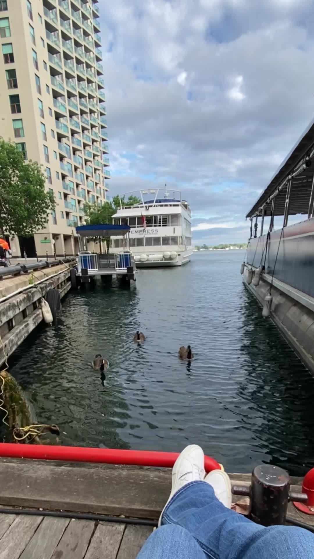 Video review of Waterfront Toronto