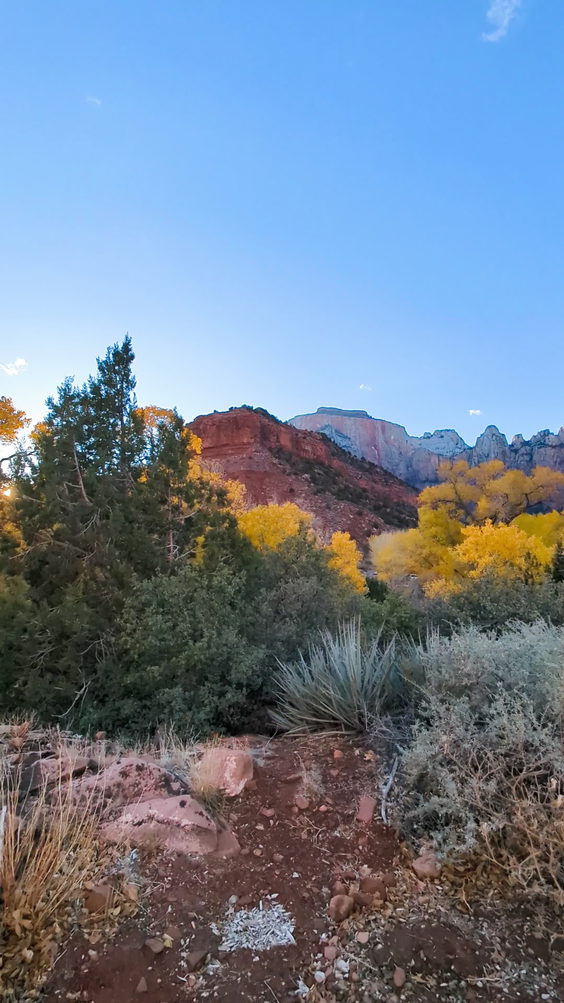 Zion National Park