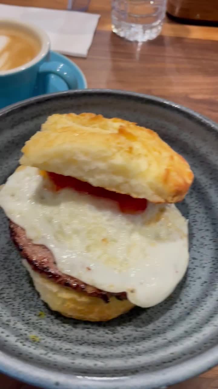 Video review of The Daily