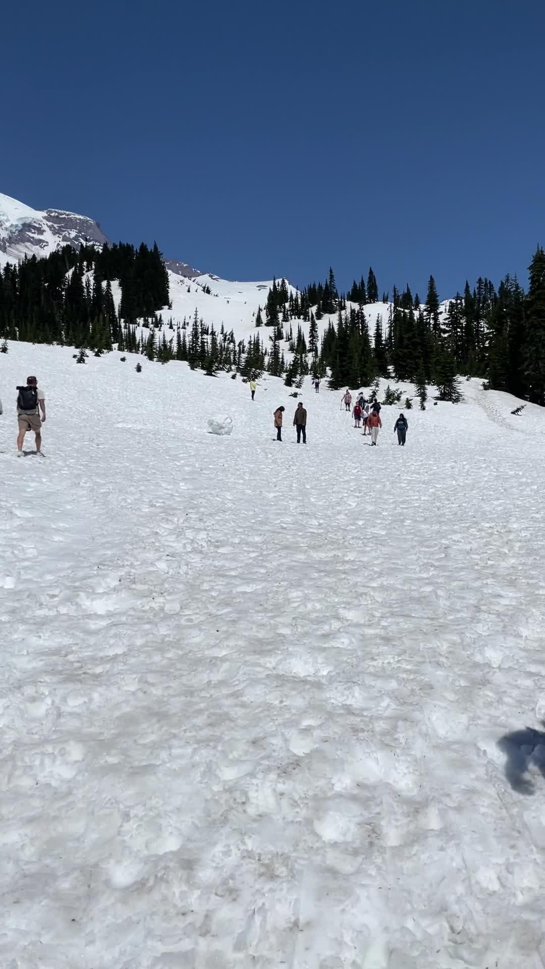 Mount Rainier National Park