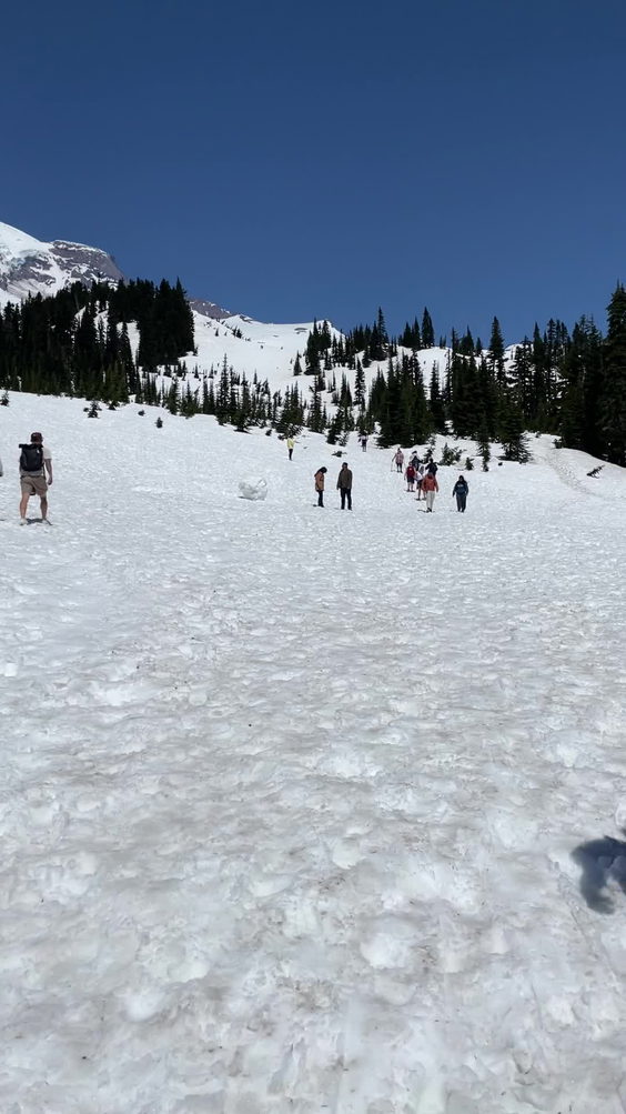 Mount Rainier National Park