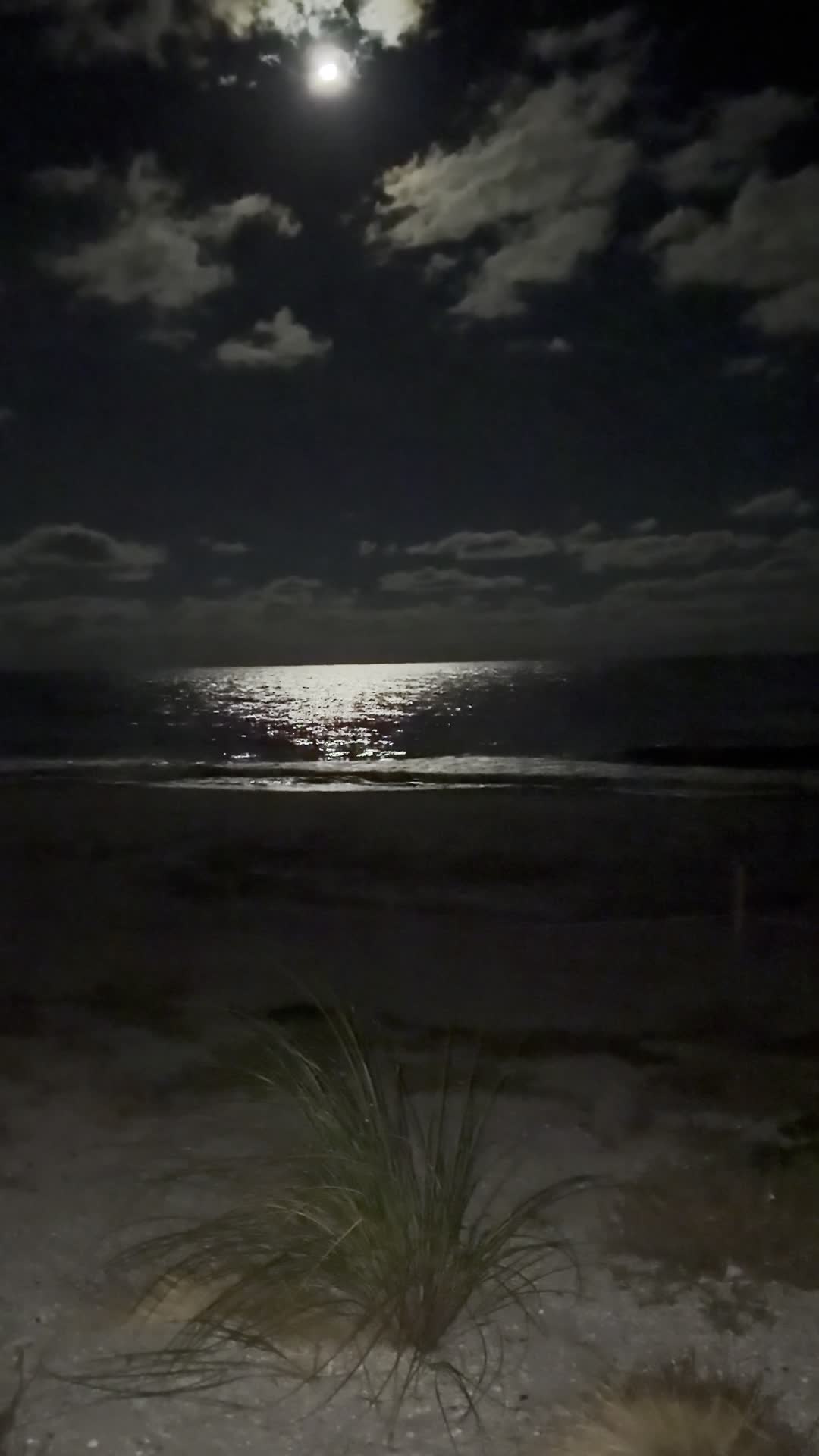 Video review of Hurricane Seafood