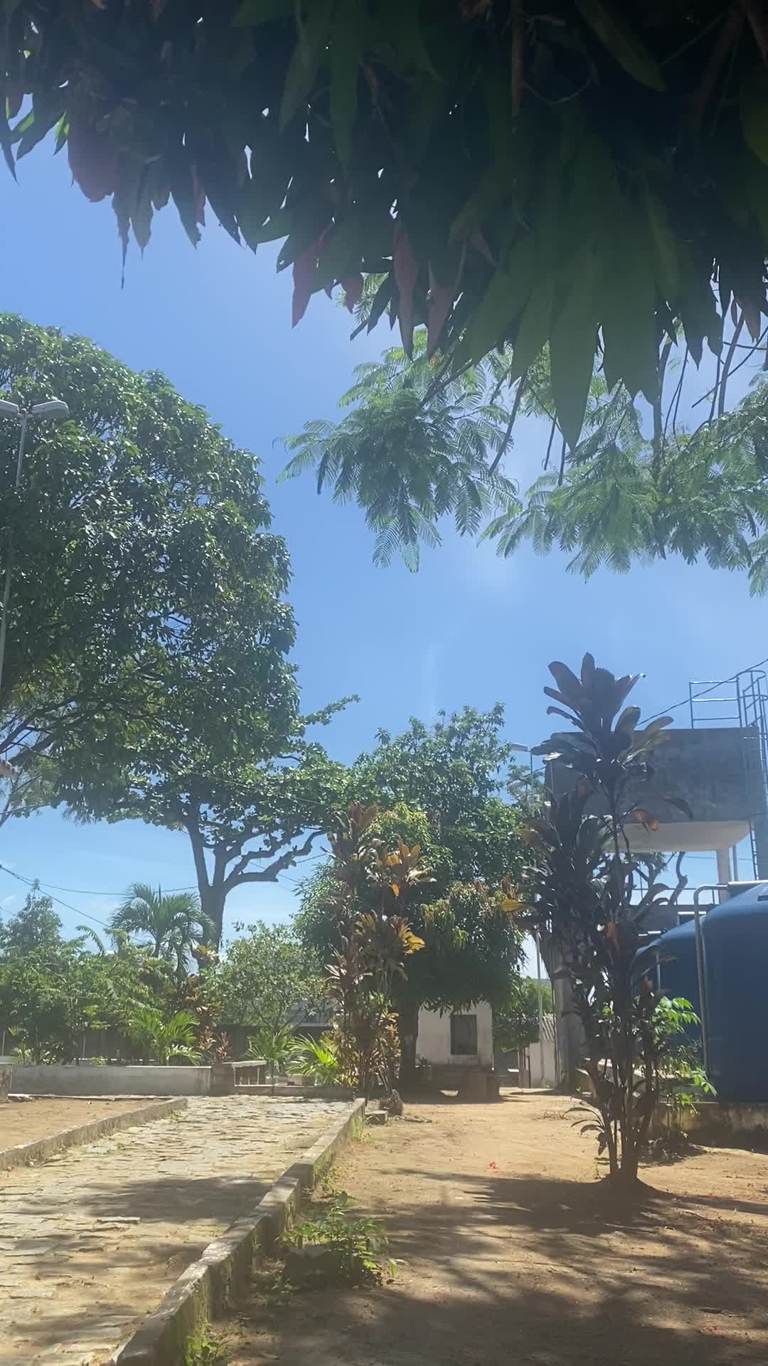 Proa Cervejaria Salvador