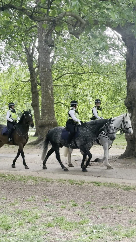 Buckingham Palace Gate