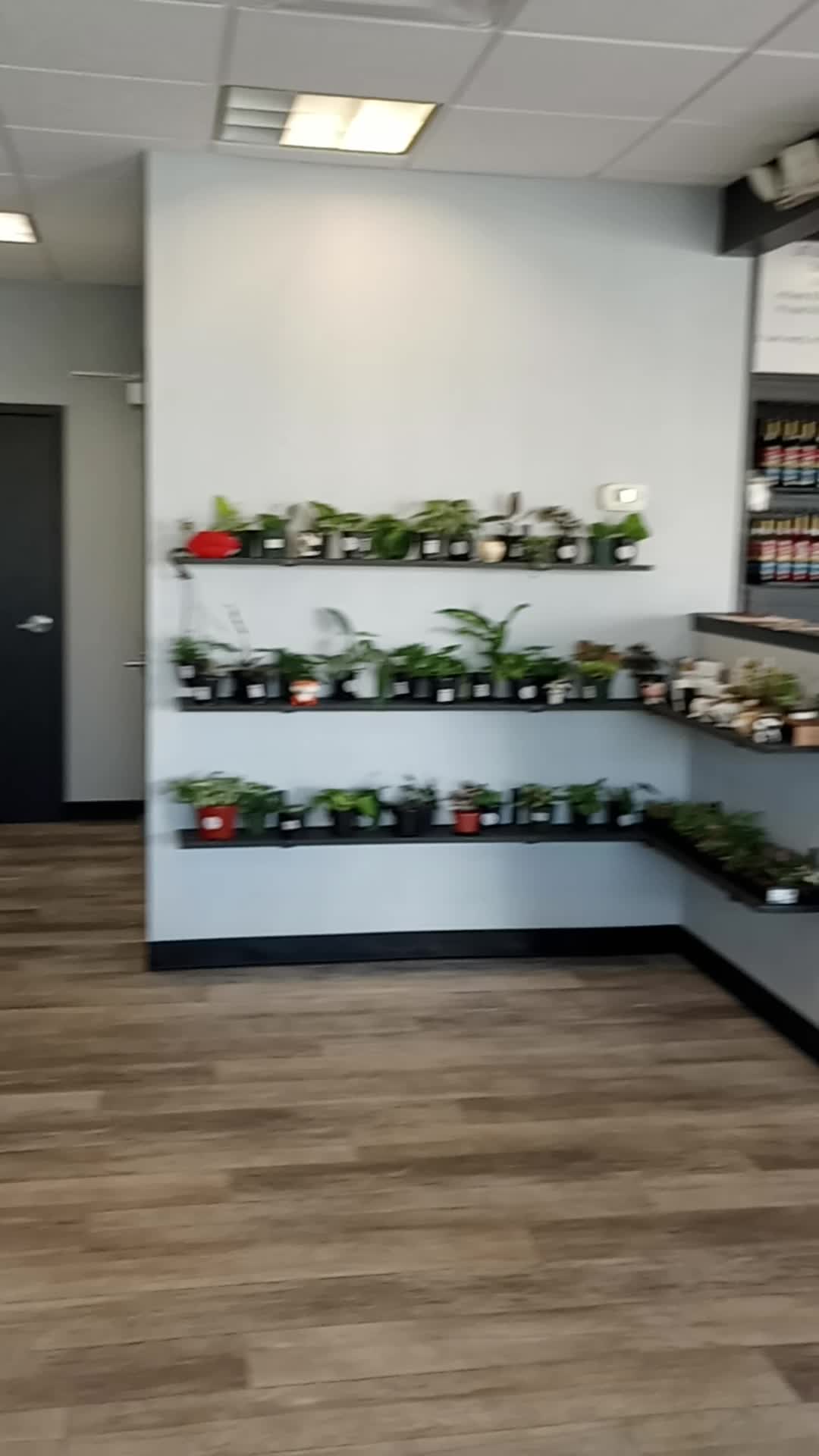 Indialantic Coffee