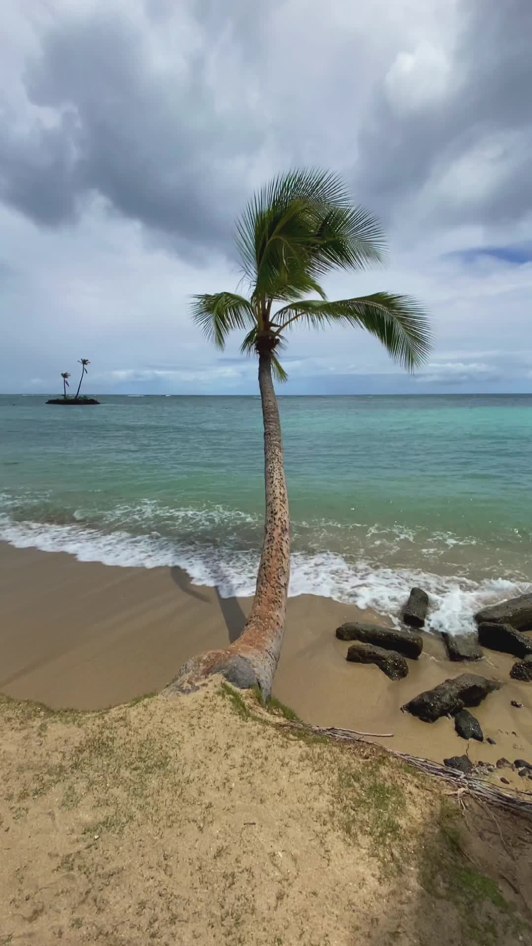 Video review of Kahala Beach
