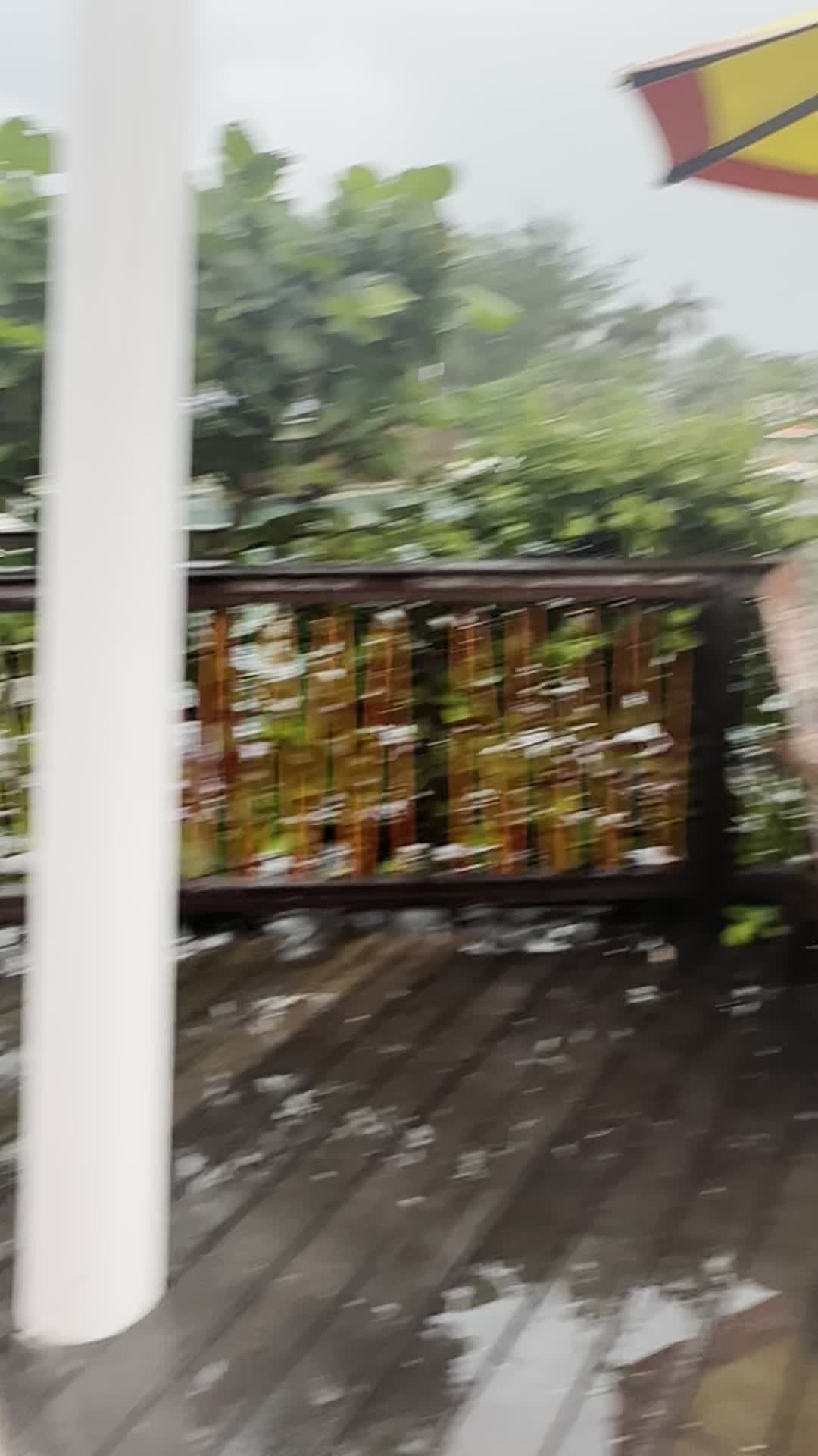 Video review of Shorty's Famous Hot Dogs