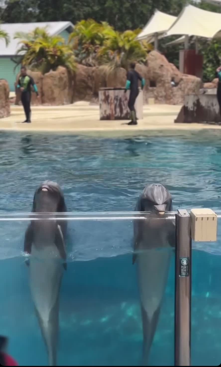 SeaWorld Orlando