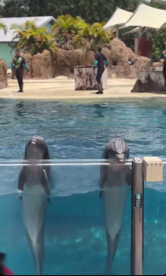 SeaWorld Orlando