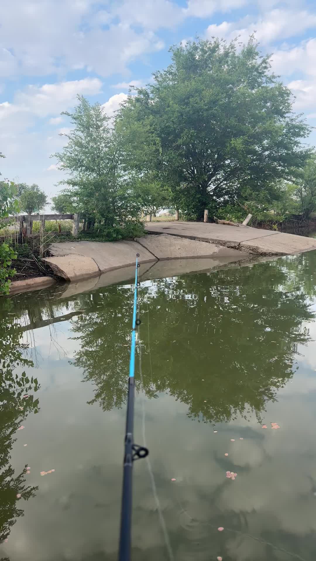 Lake & Playground
