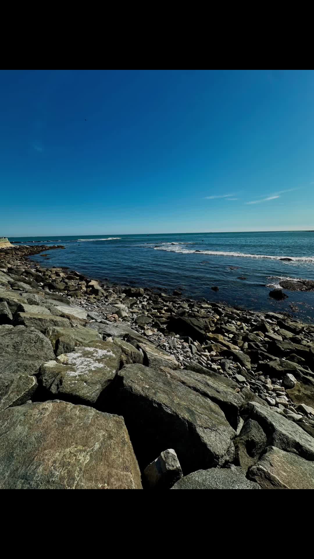 The Reef