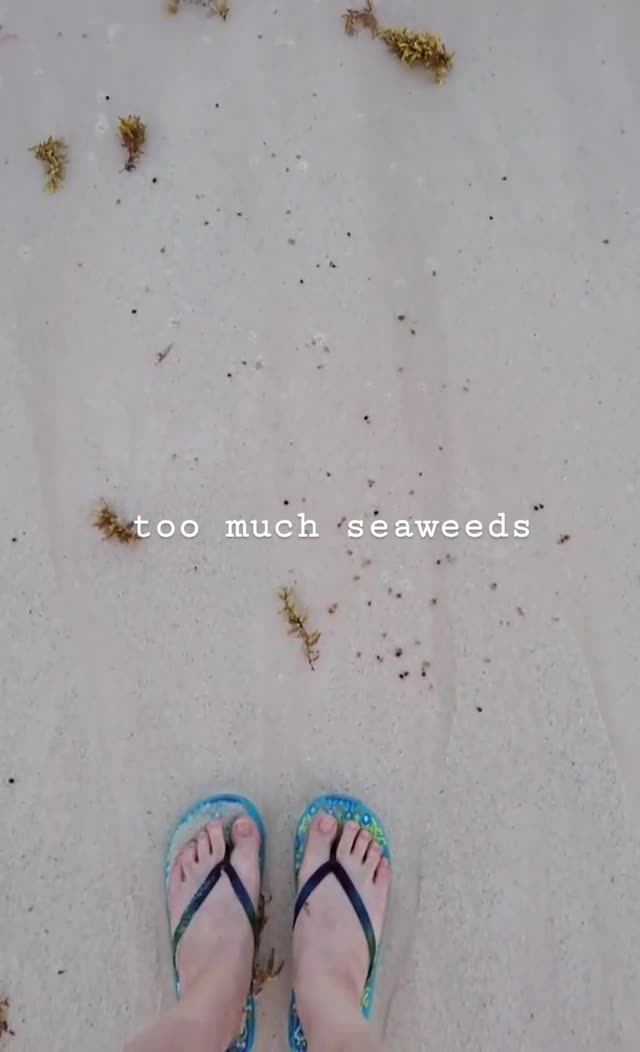 Video review of Tulum Beach