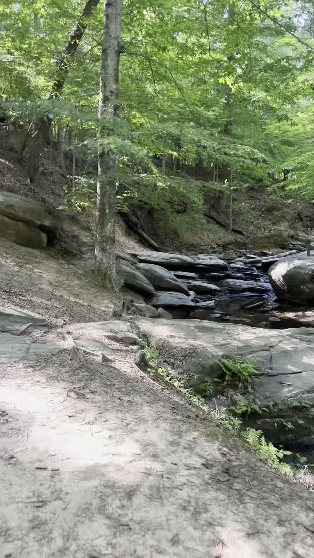 Dunwoody Nature Center