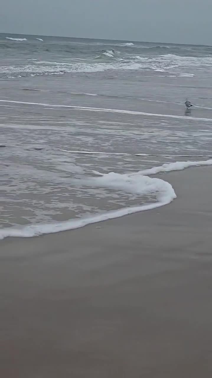 City Moment · Daytona Beach