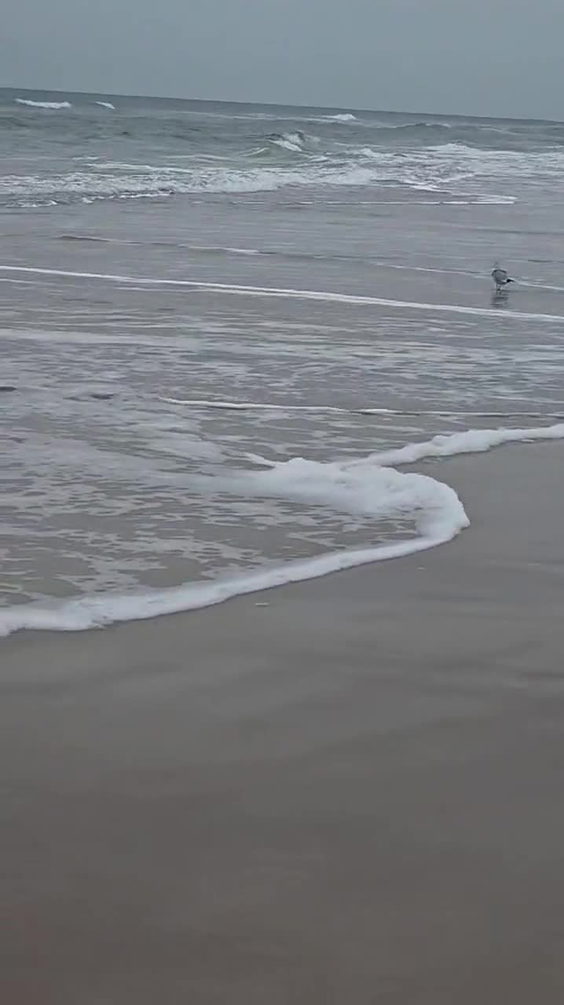 City Moment · Daytona Beach