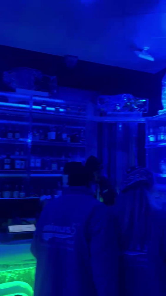minus5 ICEBAR
