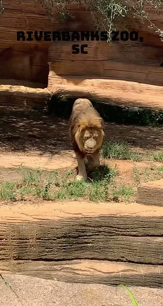 Riverbanks Zoo & Garden