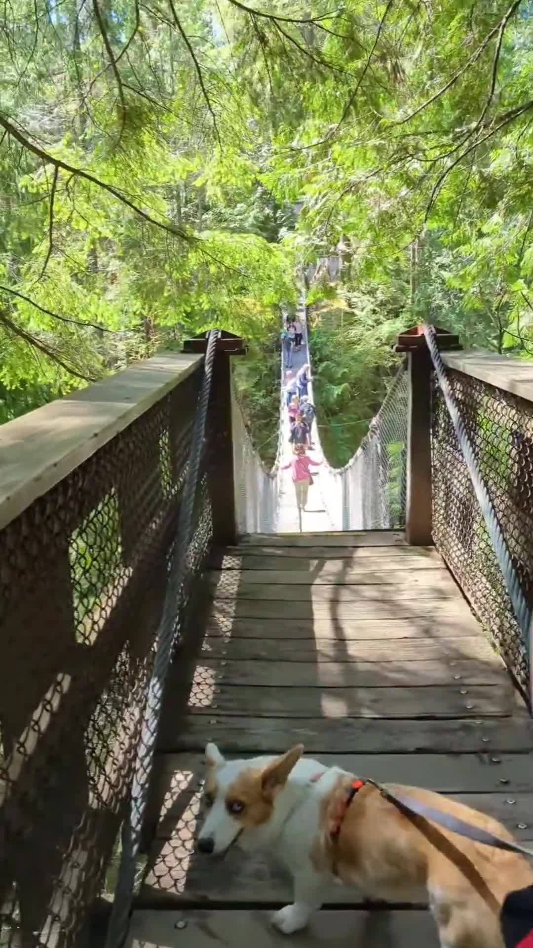 Lynn Canyon Park