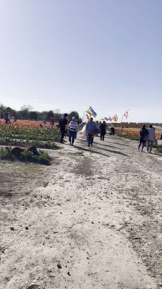 Burnside Farms Flower Fields