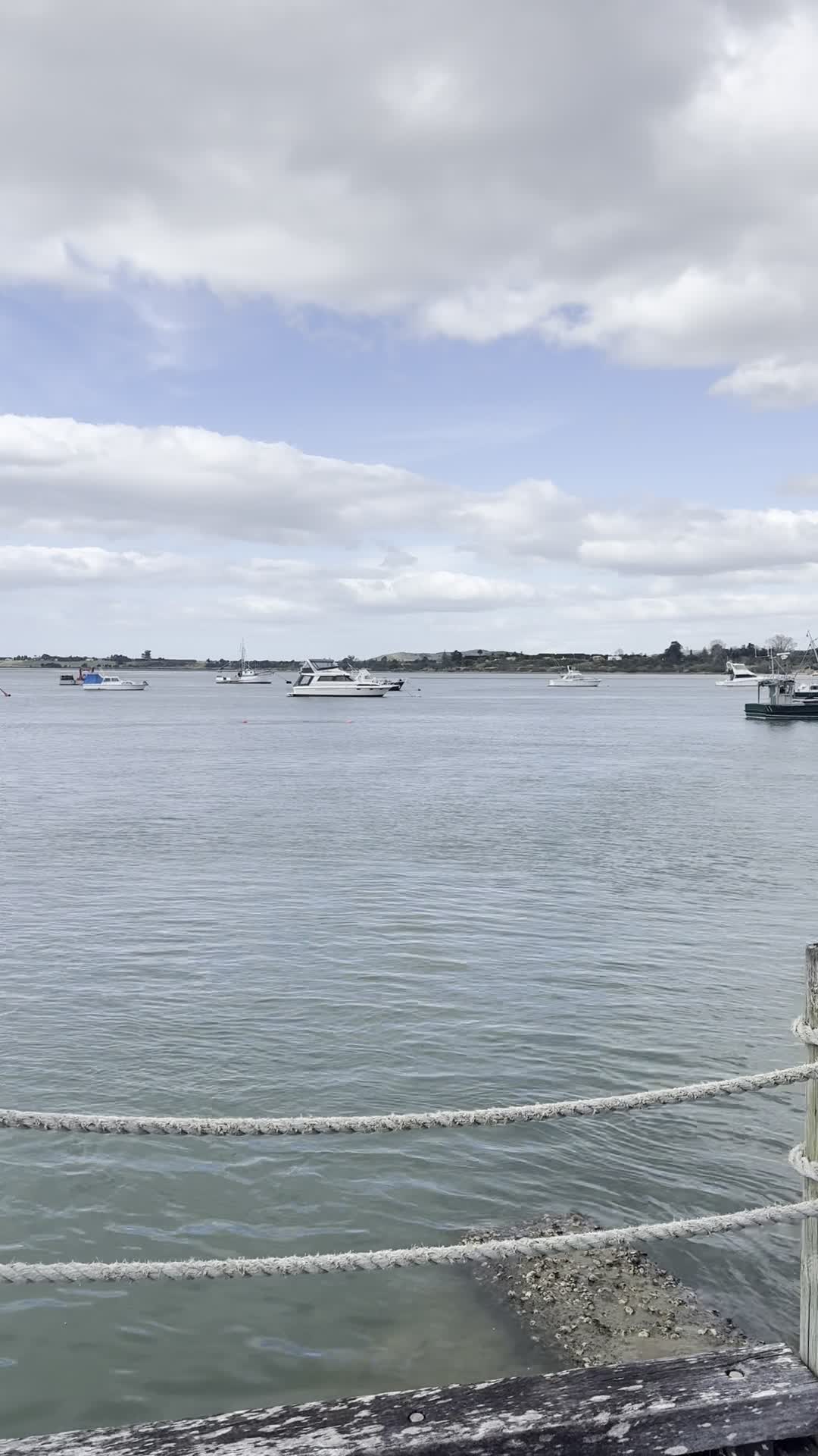 Tauranga  Waterfront
