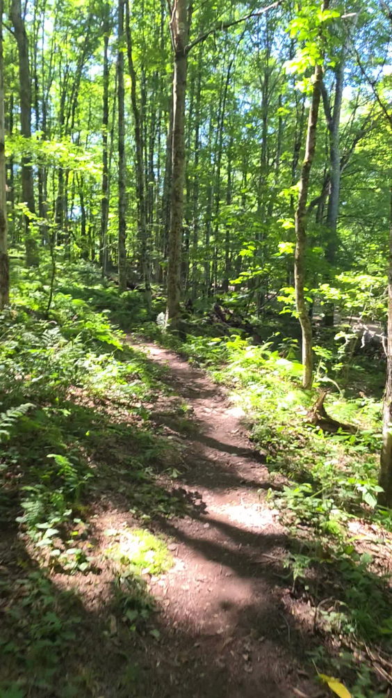 Bramley Mountain Trail