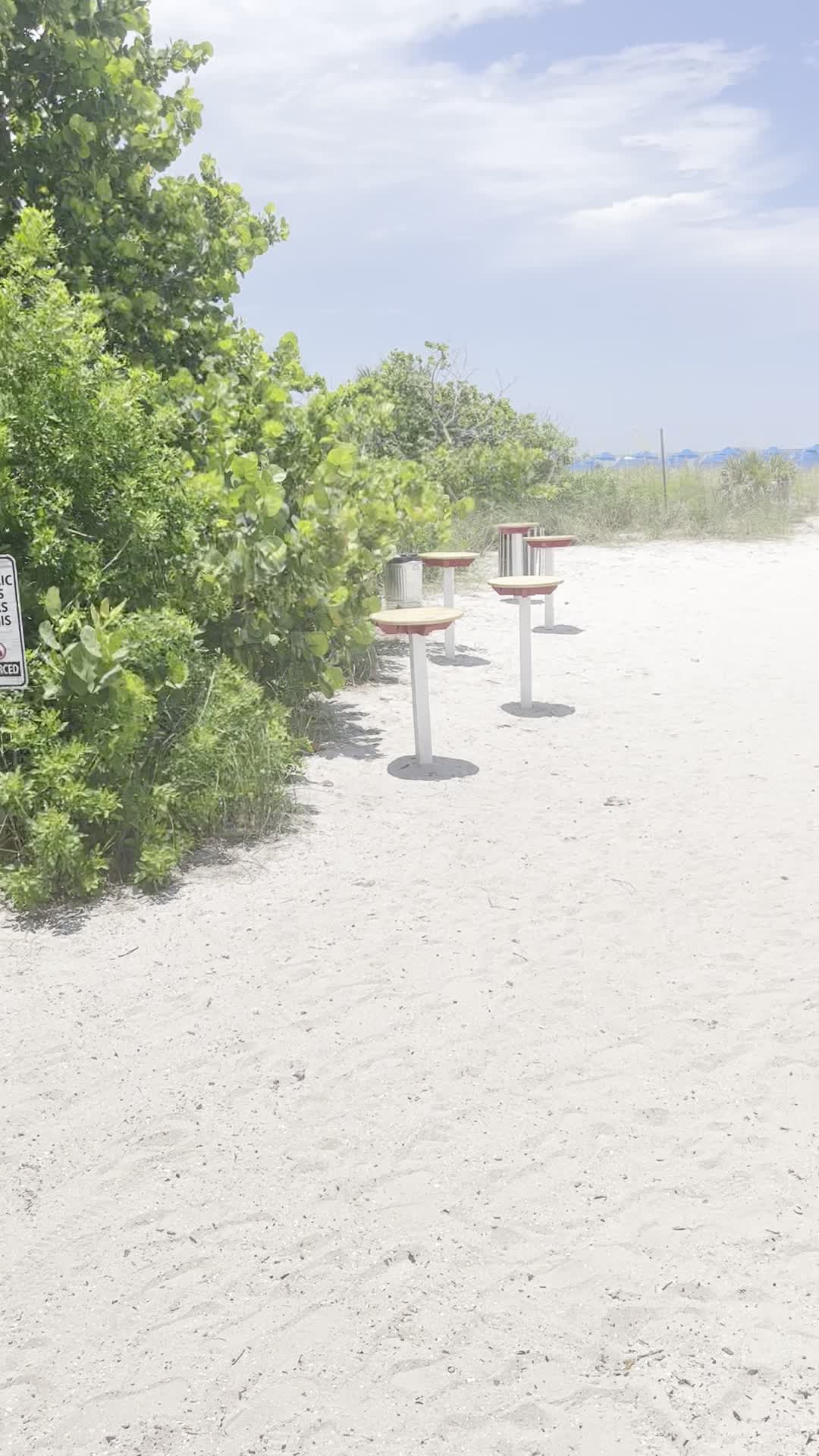 Video review of PCI Beach Bar