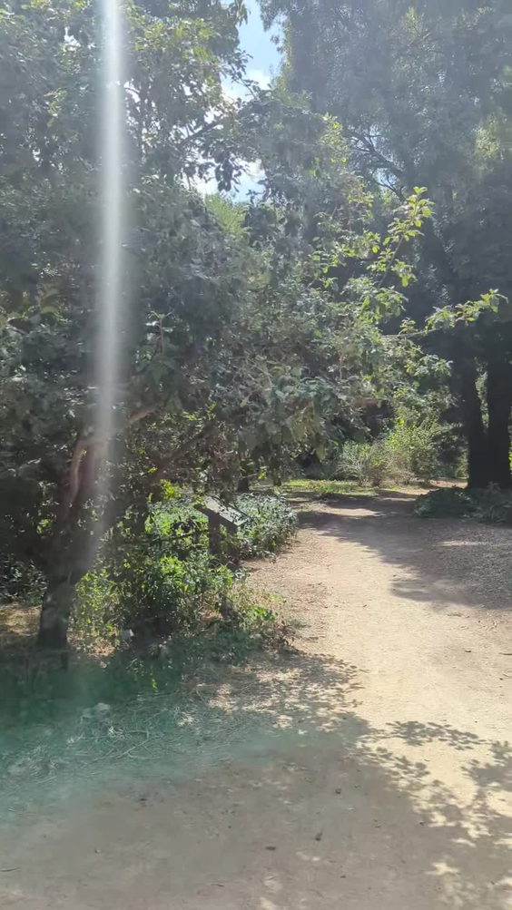 Los Angeles County Arboretum and Botanic Garden