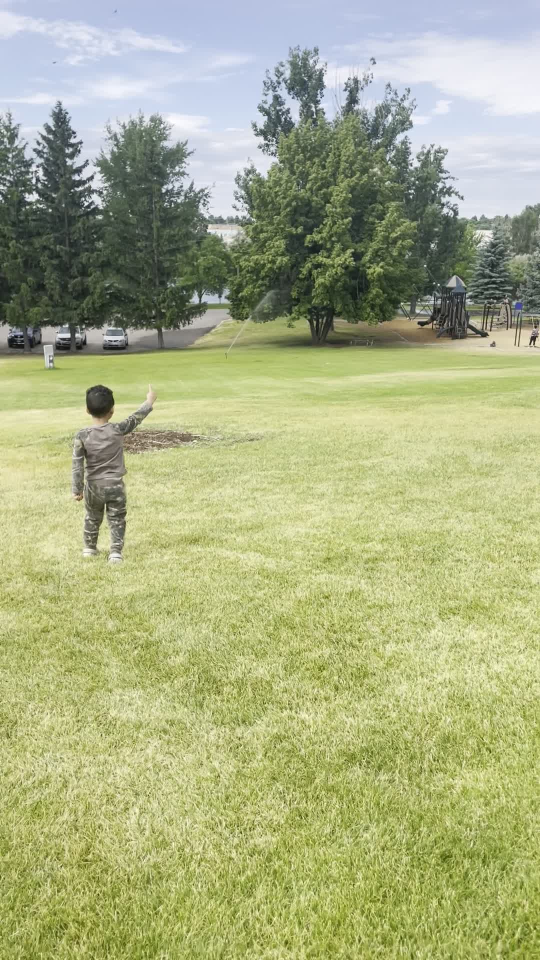 Video review of Freeman Park