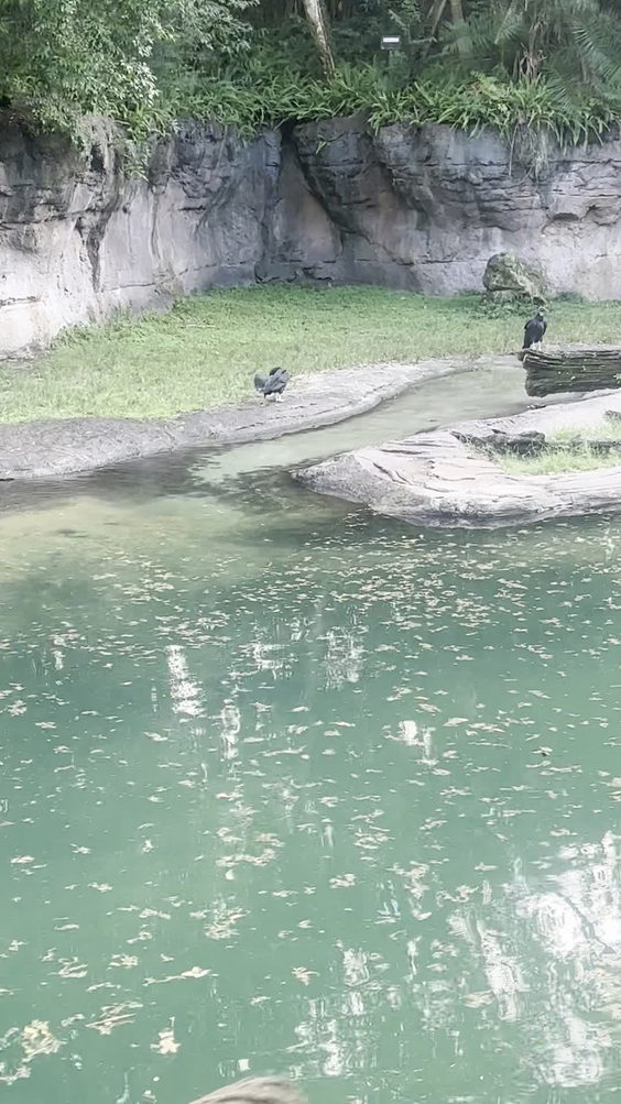 Kilimanjaro Safaris