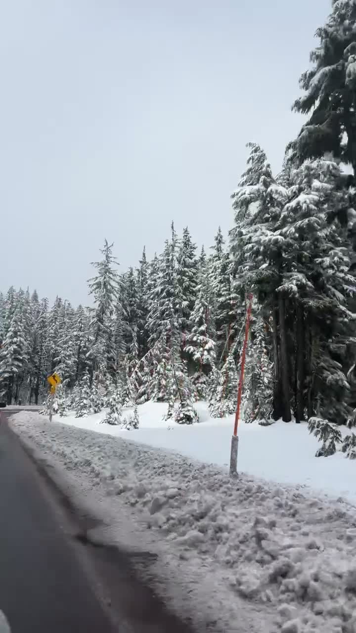 Mt Hood Meadows Ski Resort