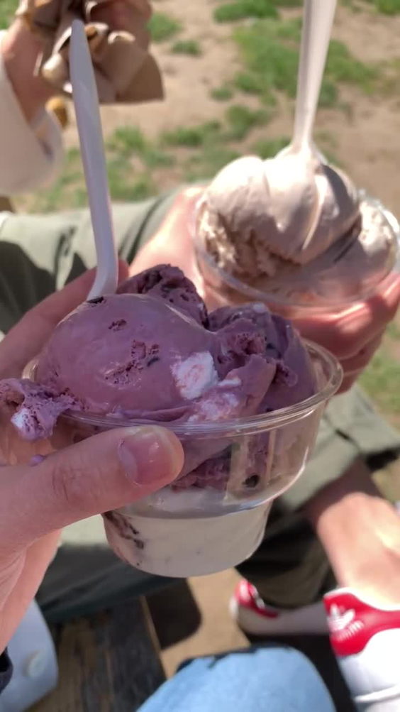 Pittsford Farms Dairy