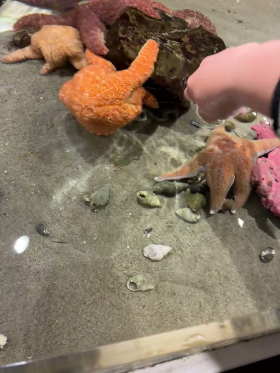 Seaside Aquarium