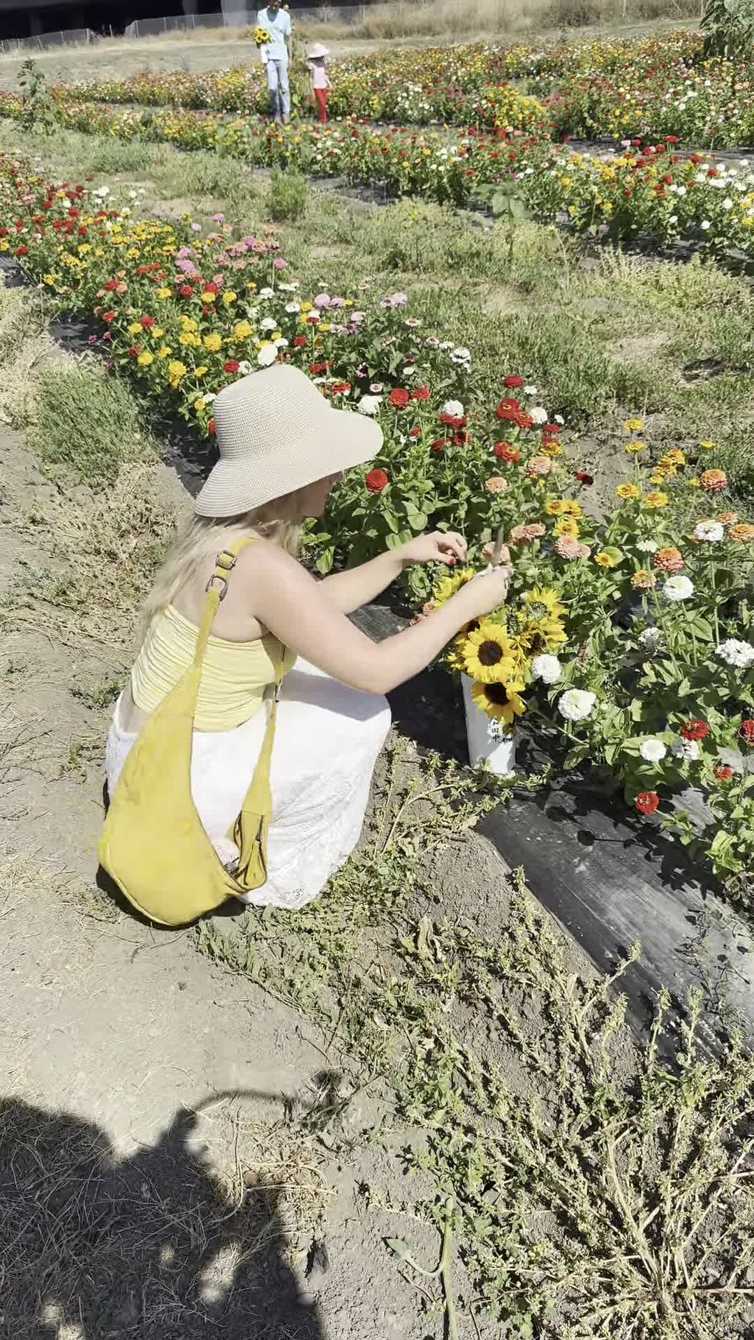 Hana Flower Field
