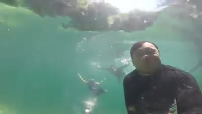 Enchanted River