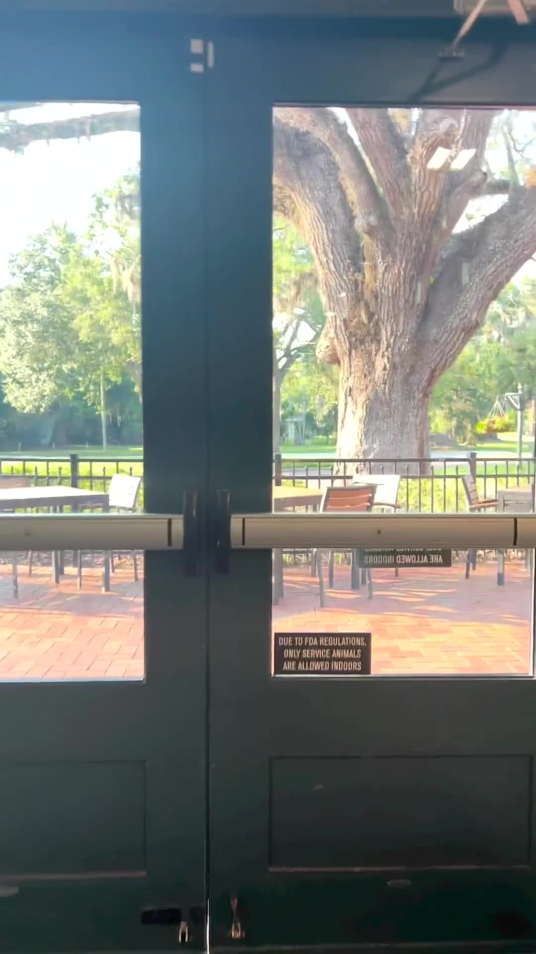 Video review of Crooked Can Brewing Company