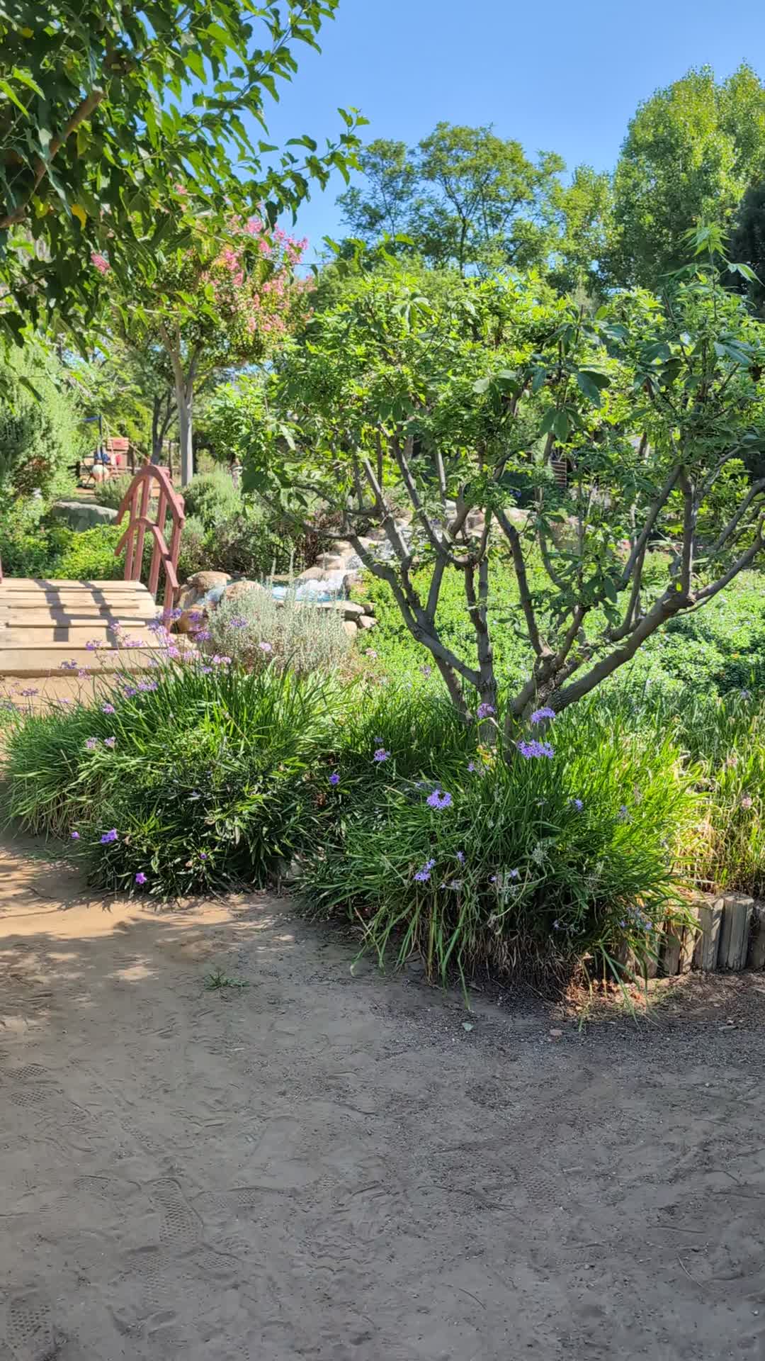 Coffee and Garden Shopping