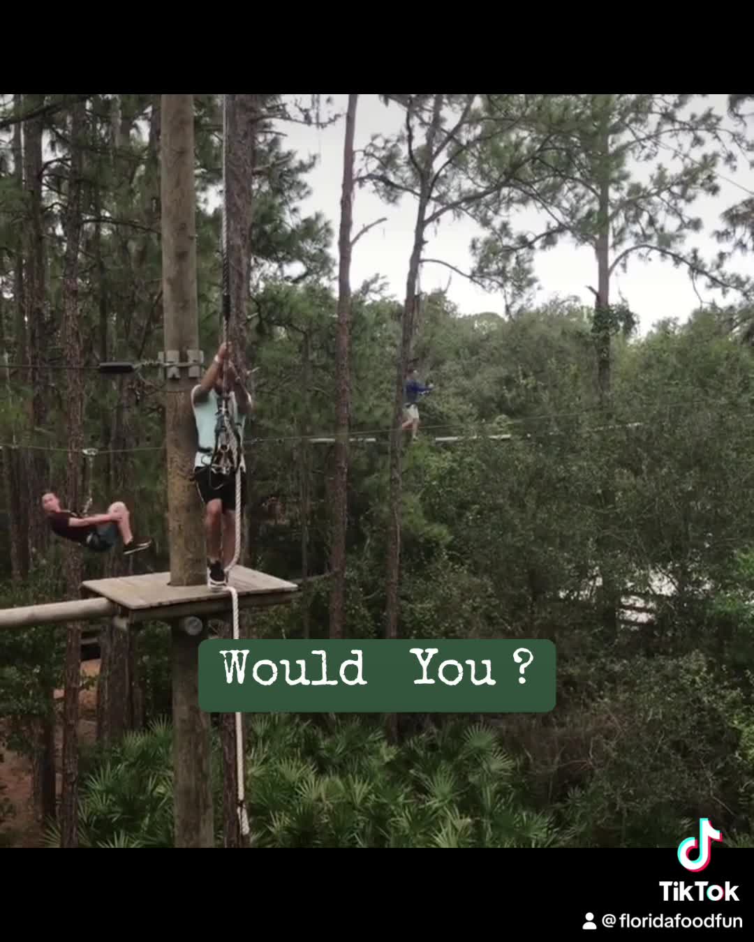 TreeUmph! Adventure Course