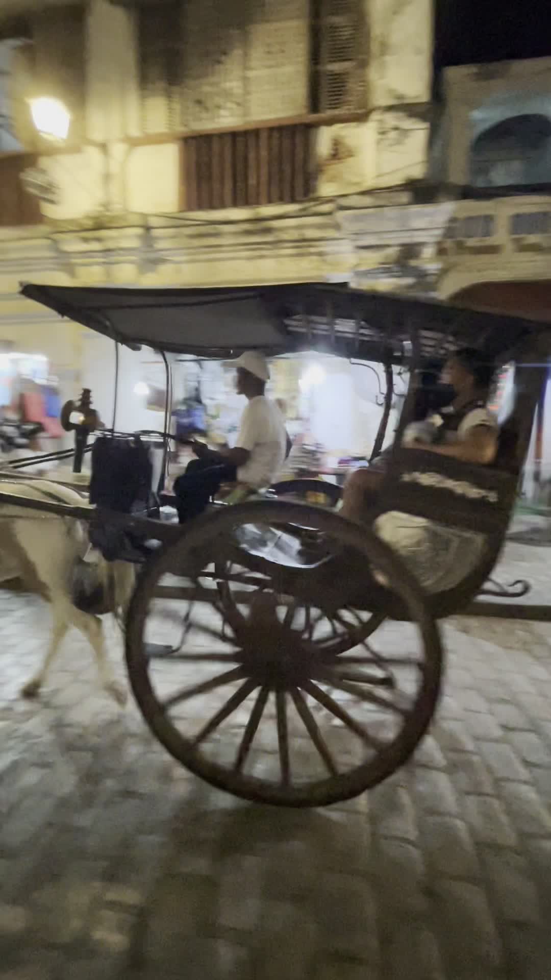 Vigan Heritage