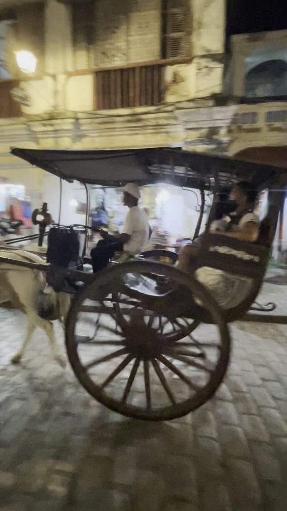 Vigan Heritage